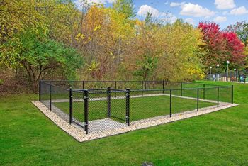 Bark Park